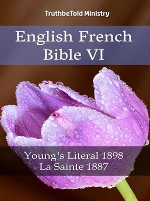 cover image of English French Bible VI